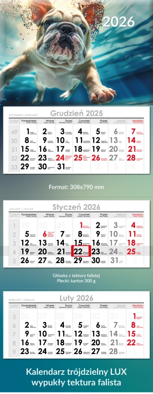 Trójdzielny Lux Wypukły – tektura falist...
